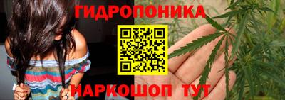 гашик Краснокаменск